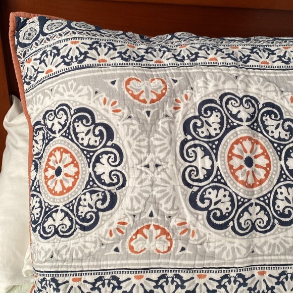 Pottery Barn Pia Medallion Euro shams - Picture 2 of 6